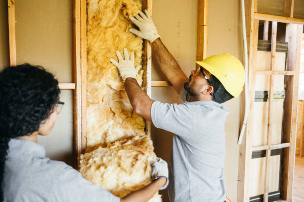 Types of Insulation We Offer in Blountstown, FL